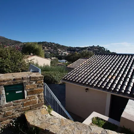 Gazanias By Interhome