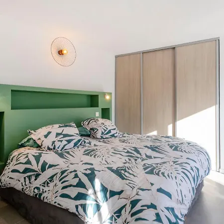 Gazanias By Interhome 봄레미모사