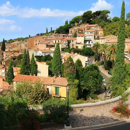 Gazanias By Interhome