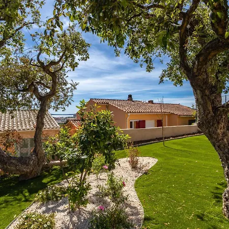 Gazanias By Interhome * 봄레미모사