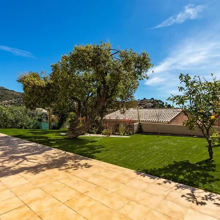 Gazanias By Interhome * 봄레미모사