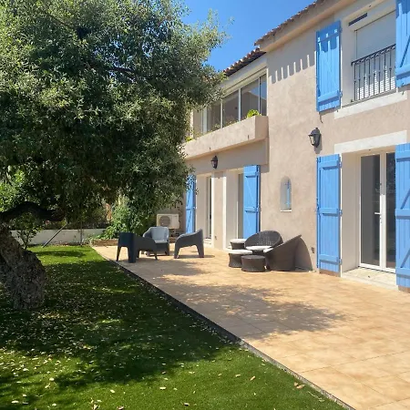 Gazanias By Interhome